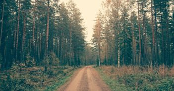 Blazing Trails: Getting Started With Off-Roading